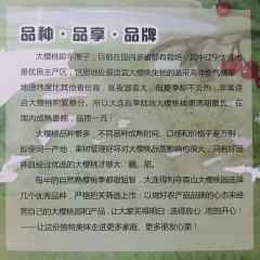 大连得利寺镇尔楠家南山红大樱桃 顺丰包邮到家 最后5天上架特惠（截止到6.30日前下单）